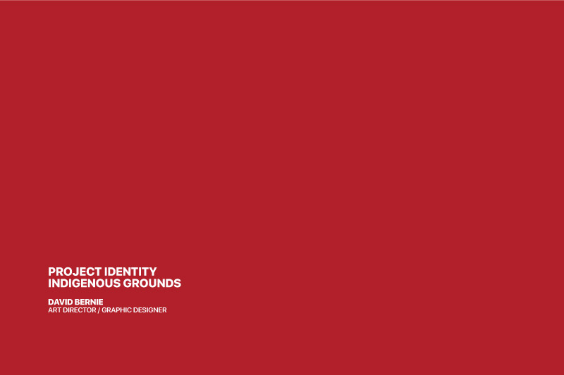 Indigemedia LLC David Bernie Marketing Consultant Graphic Web Design Photography Video Logos Native American Indigenous Art Indigenous Grounds Chicago