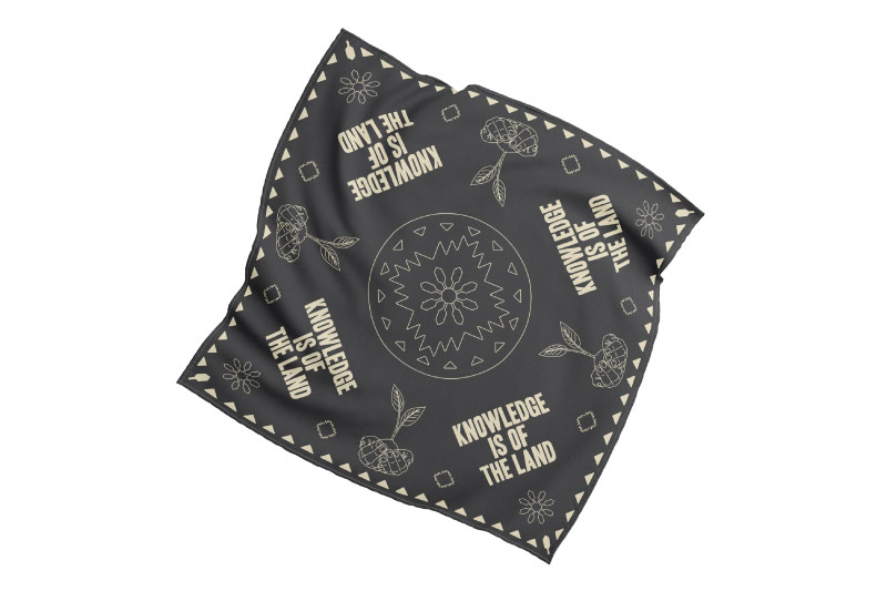 Indigemedia LLC David Bernie Marketing Consultant Graphic Web Design Photography Video Logos Native American Indigenous Art Blog Tribal EPA Region 9 Conference 2022 Bandana
