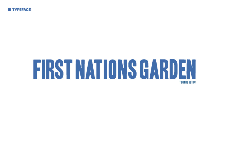 Indigemedia LLC David Bernie Marketing Consultant Graphic Web Design Photography Video Logos Native American Indigenous Art First Nations Garden Chicago