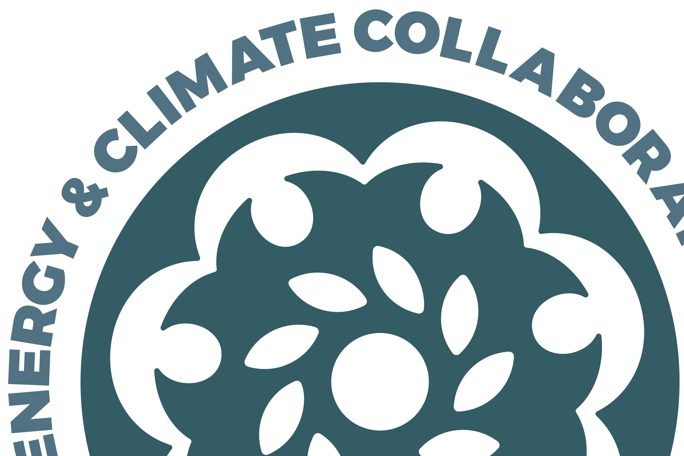 Indigemedia LLC David Bernie Native American Artist Graphic Design Logo Culture Tribal Energy and Climate Collaborative TECC