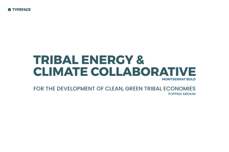 Indigemedia LLC David Bernie Native American Artist Graphic Design Logo Culture Tribal Energy and Climate Collaborative TECC