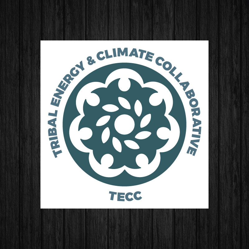 Indigemedia LLC David Bernie Native American Artist Graphic Design Logo Culture Tribal Energy and Climate Collaborative TECC