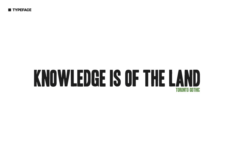 Indigemedia LLC David Bernie Marketing Consultant Graphic Web Design Photography Video Logos Native American Indigenous Art Blog Tribal EPA Region 9 Conference 2022