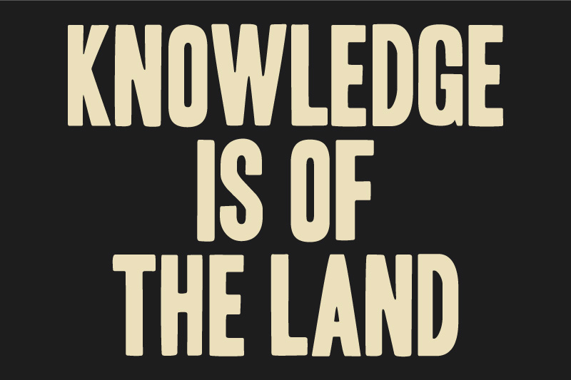 Indigemedia LLC David Bernie Marketing Consultant Graphic Web Design Photography Video Logos Native American Indigenous Art Blog Tribal EPA Region 9 Conference 2022
