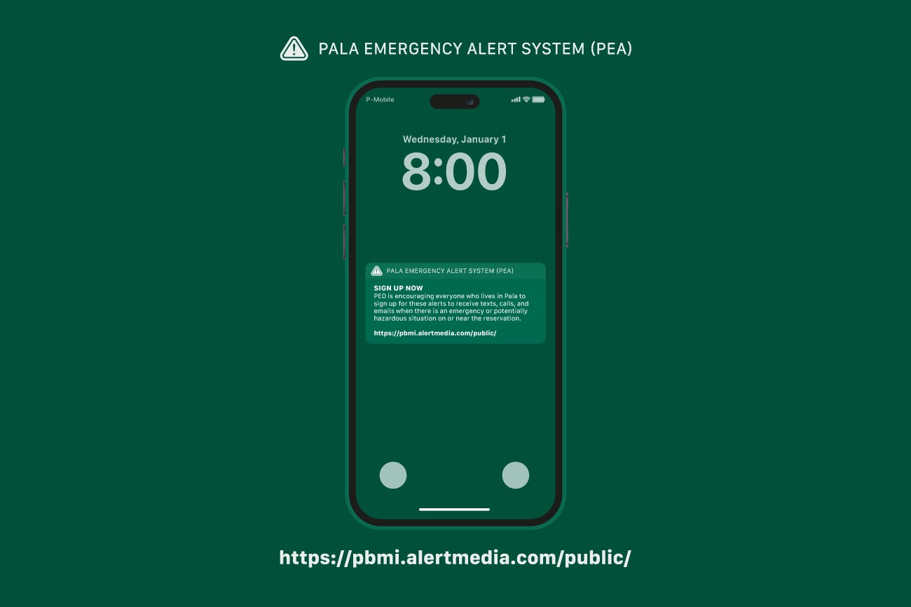 Indigemedia David Bernie Native American Indigenous Graphic Web Design Photography Logos Art Pala Environmental Department Pala Emergency Alert System PEA Blog