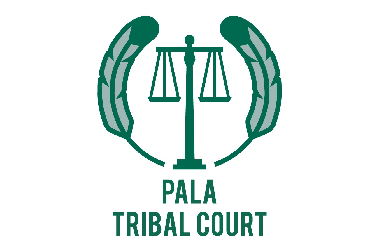 Indigemedia David Bernie Native American Indigenous Graphic Web Design Photography Logos Art Signage Website Pala Tribal Court California